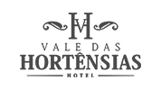 Hoteligente - Marketing Digital para Hotéis